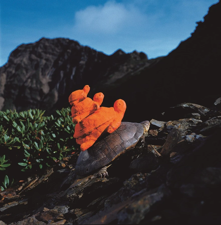 《放生》（玉山主峰），1998，「土地倫理」展，富邦藝術文化基金會。-圖片